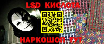 шишки Балашиха