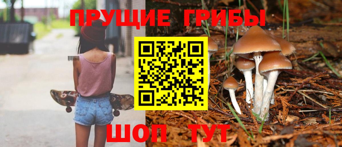 Галлюциногенные грибы Magic Shrooms  Псилоцибиновые грибы ЛСД  Вход с VPN  Дивногорск 