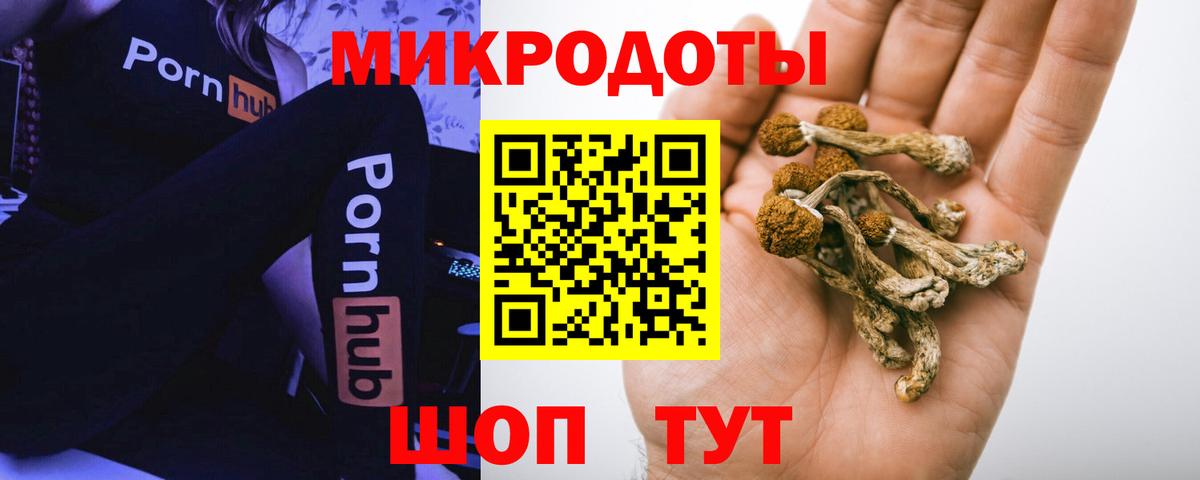 Псилоцибиновые грибы MAGIC MUSHROOMS Дивногорск